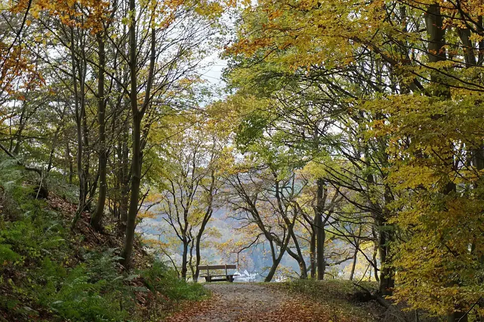 Nationaal Park Eifel