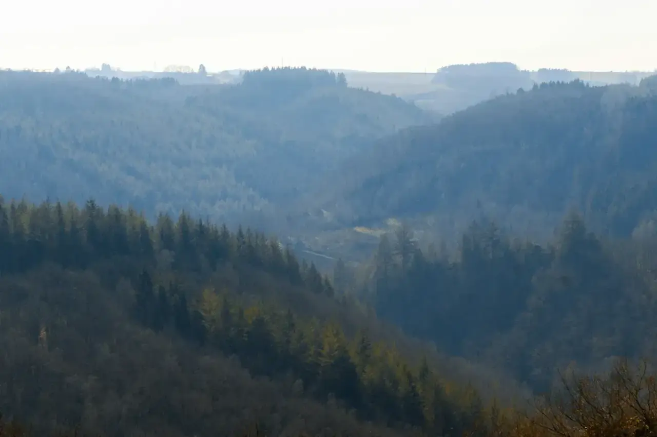 Landschap in de Ardennen