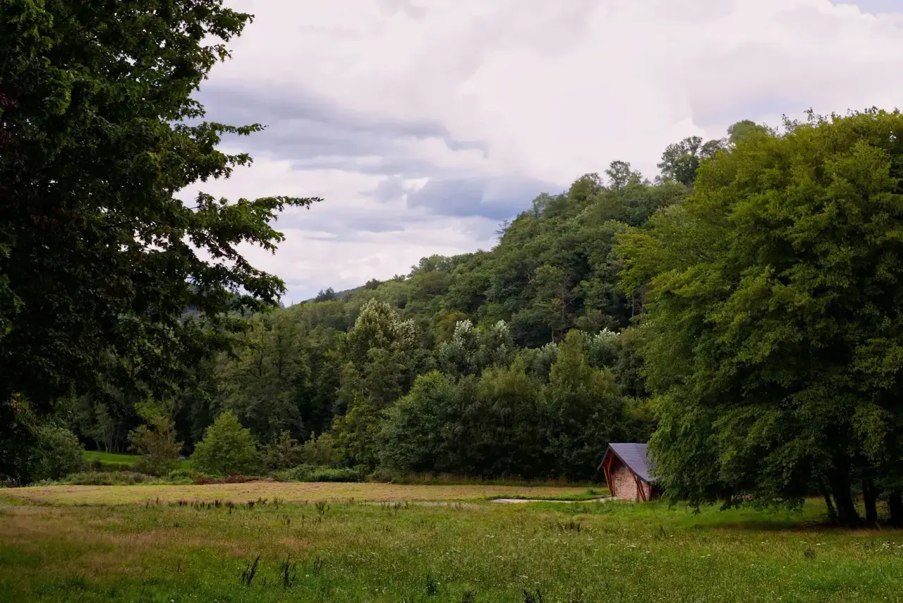 Groep onderweg in de Ardennen