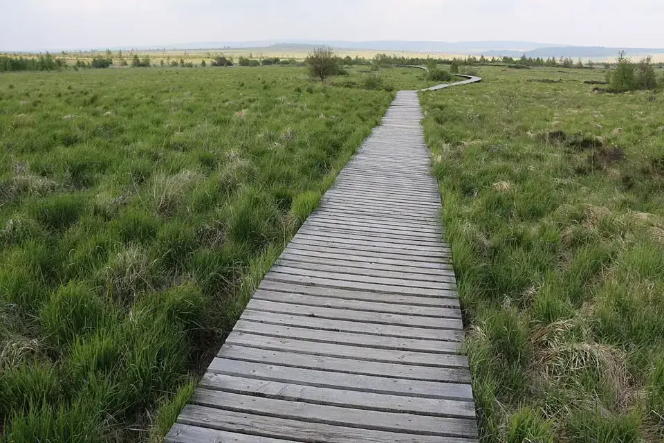 Plankenpaden over het veen